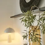 Lavandinaluxe App